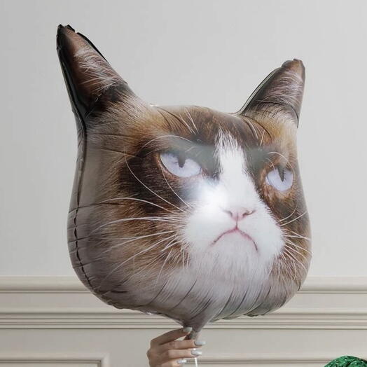Шар Сварливый кот