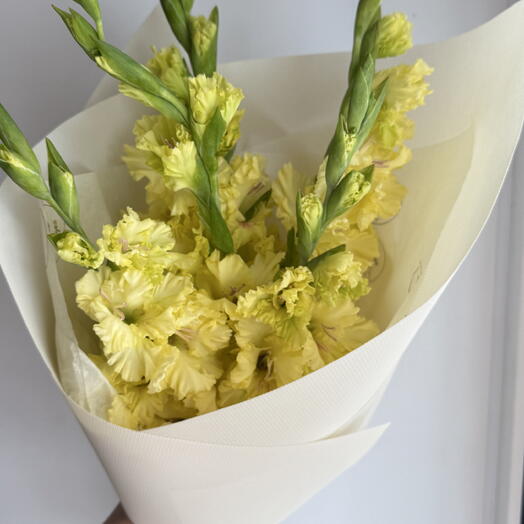 Букет с гладиолусами яркий солнечный с доставкой Владивосток 🌼🤍