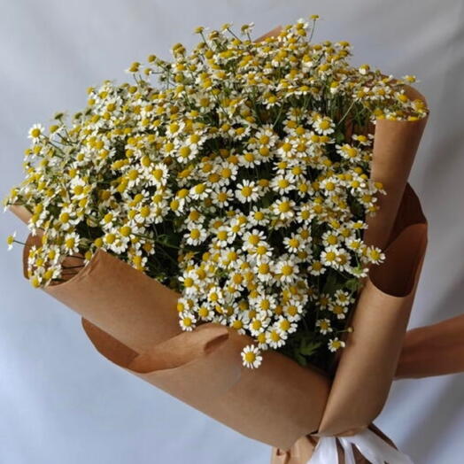 Ромашки🌸
