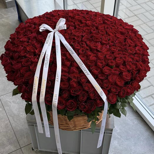 301 Roses