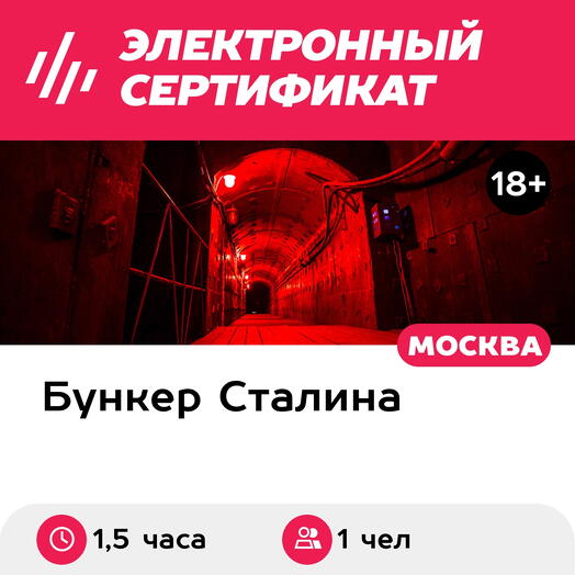 Подарочный сертификат Экскурсия в бункер ЧЗ-293, для 1 взрослого, в будние дни (1,5 часа)