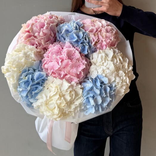 Hydrangea hug