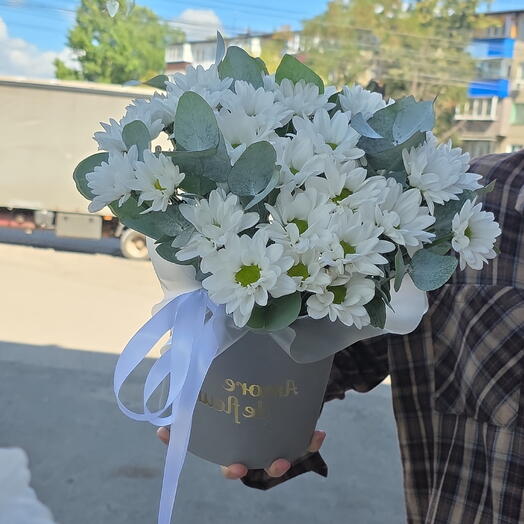Ромашковое чудо