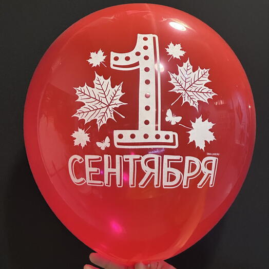 Снова в школу