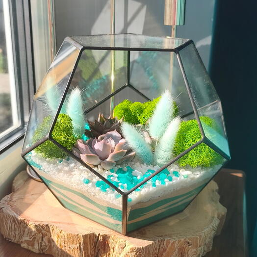 Florarium Emerald