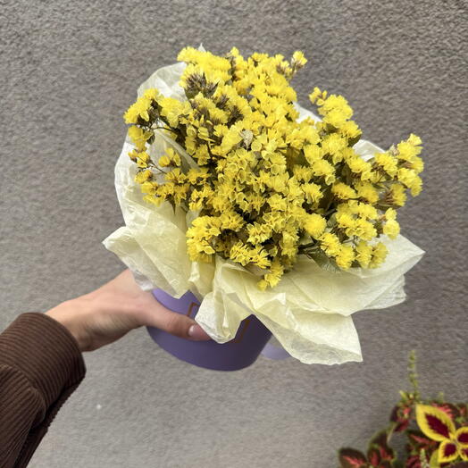 Композиция из статицы