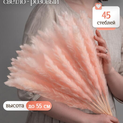 Пампас мини светло-розовый 45 шт. Высший сорт М269