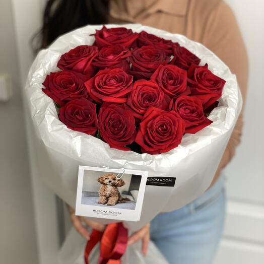 BLOOM ROOM