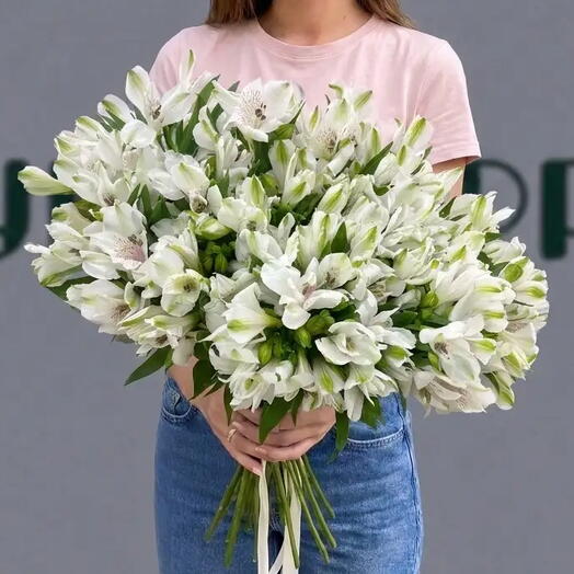 Букет из 25 белых Альстромерий