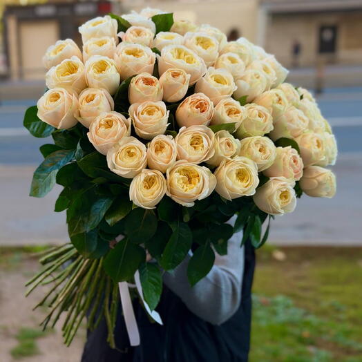 51 пионовидная Роза