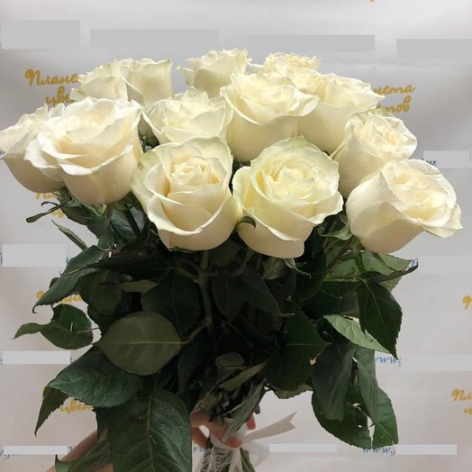 Ramo de 15 rosas blancas