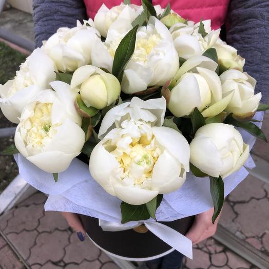 Peonies