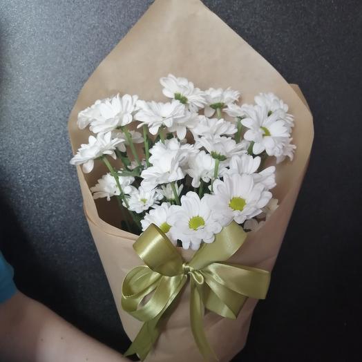 Compliment of daisies