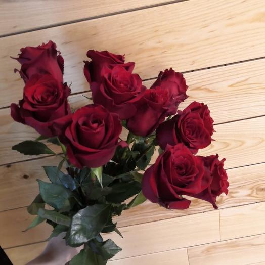 Rosas De Burdeos