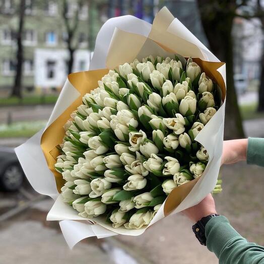 101 Белый Голландский тюльпан