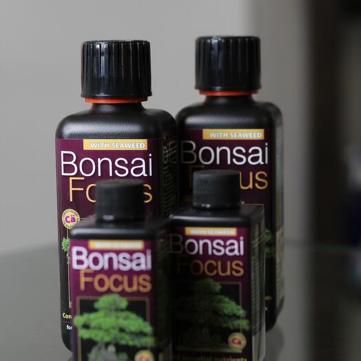 Удобрение - Bonsai Focus 100 мл