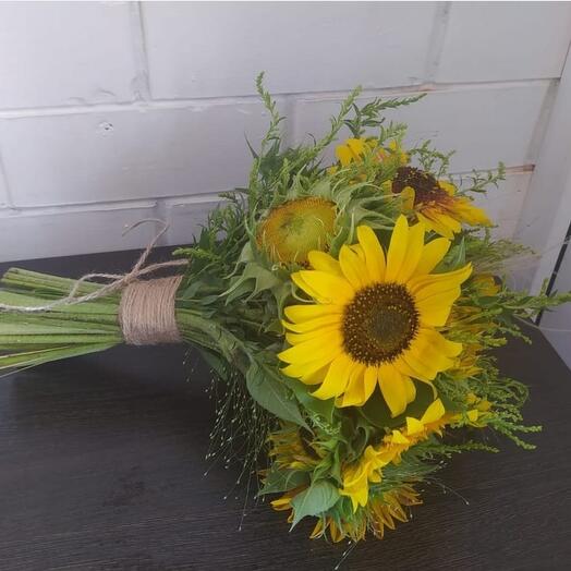 Sunflower
