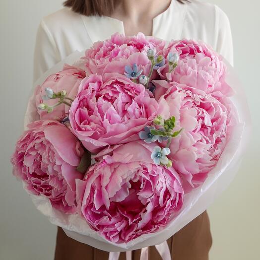 Букет из пионов  Alba di Peonia