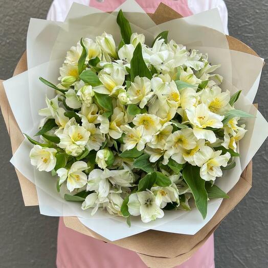 Alstroemeria 25 pieces