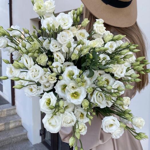 Witte