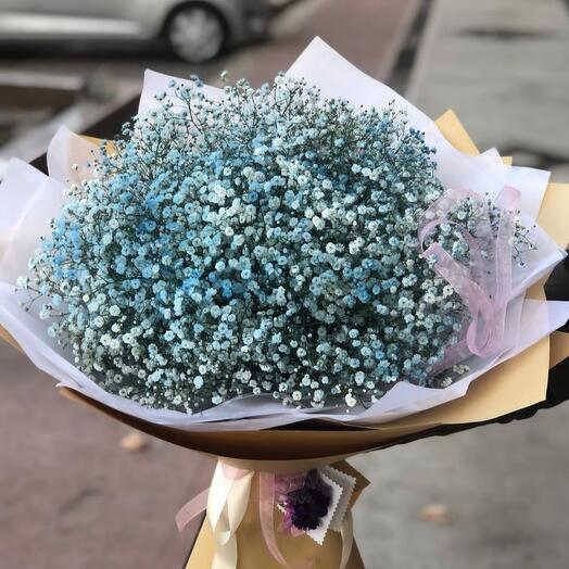 Bouquet of gypsophila