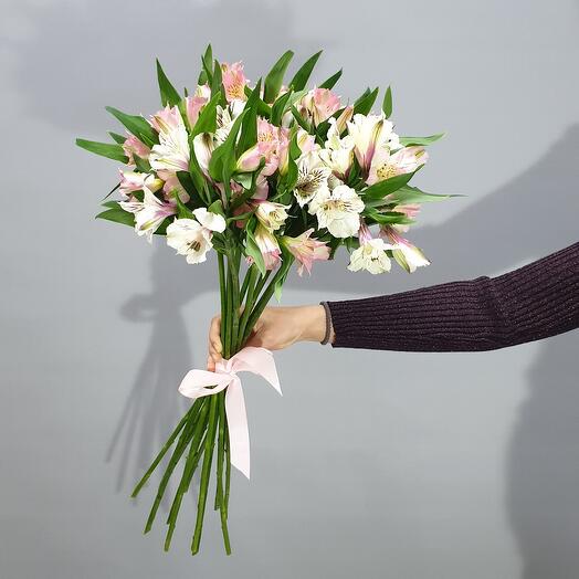 Alstroemeria