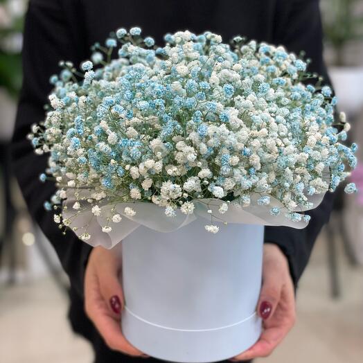 A box of pale blue gypsophila