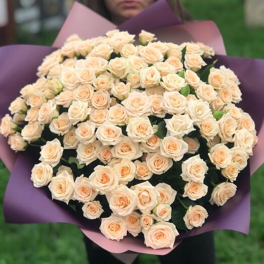 31 Роза кустовая