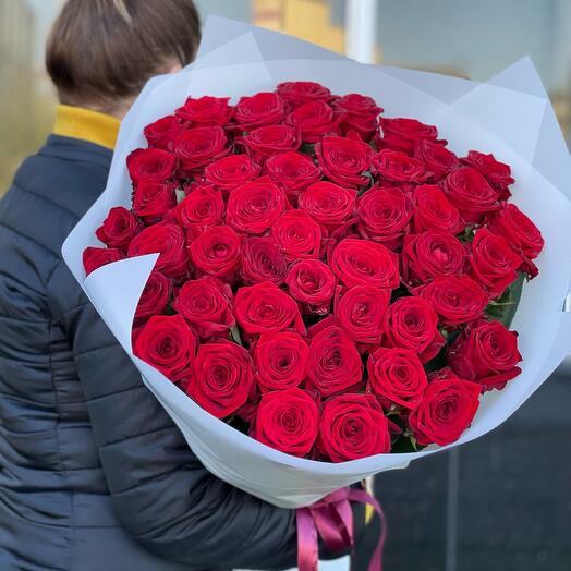 Rosas rojas 49 piezas