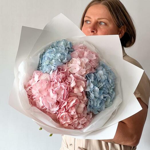 Bouquet of blue and pink hydrangeas