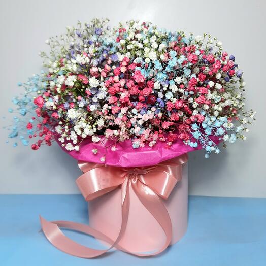 Composition of rainbow gypsophila "Marquise"
