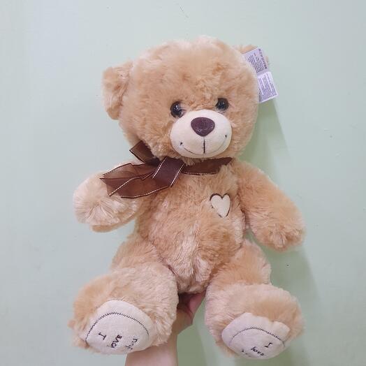 Teddy bear is a soft toy