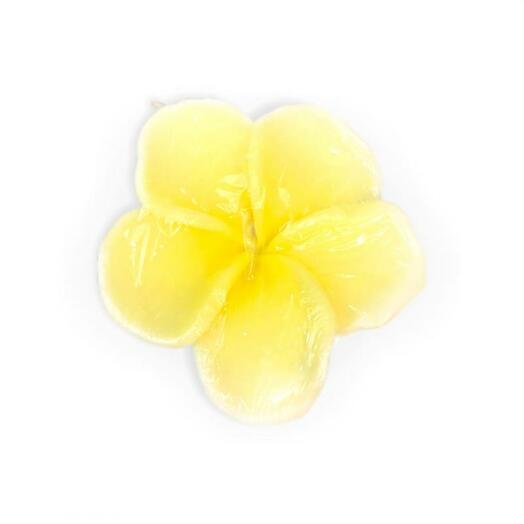 Curly soap Siam Virgin frangipani