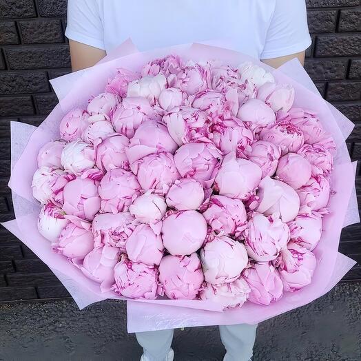 Royal Peonies Sarah Bernhardt 51