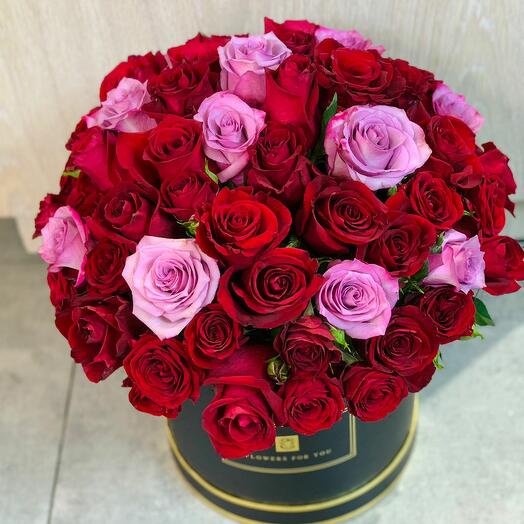 RED PURPEL ROSES IN BOX
