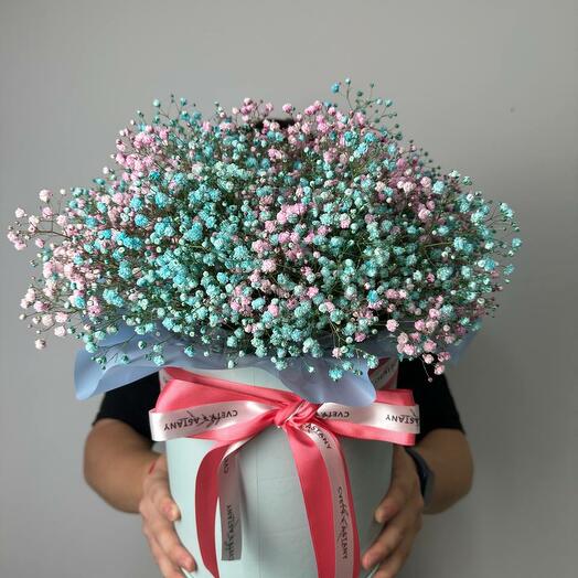 Радужная гипсофила