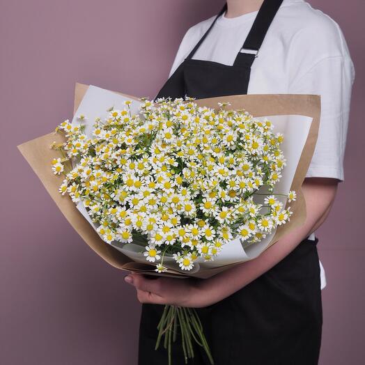 Bouquet of daisies