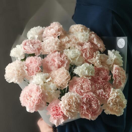 Диантус Solo-29