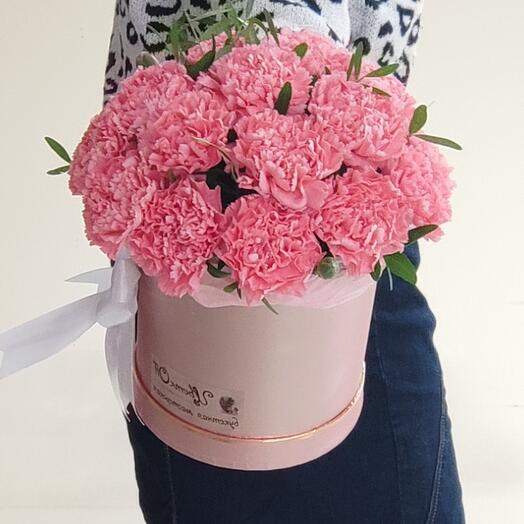 Dianthus varietal en Caja