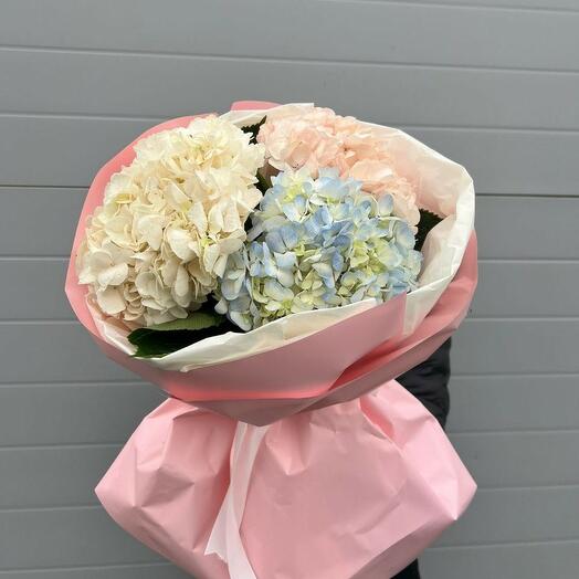 Bouquet of hydrangeas