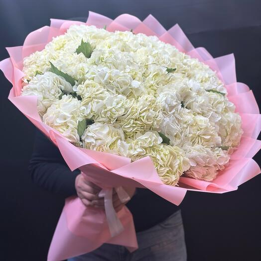 Гортензия😍