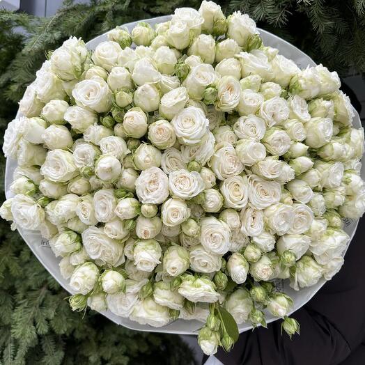 Букет белых кустовых роз