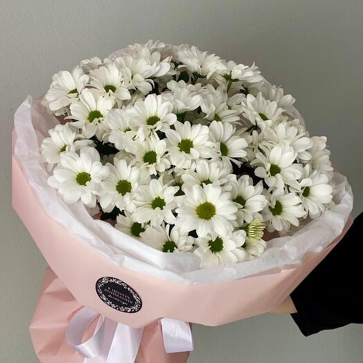 Chrysanthemums of chamomile "Waltz"