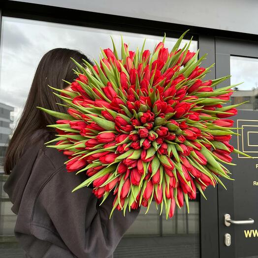 Bukiet z 201 tulipanów