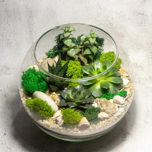 Флорариум М. Зеленый оазис