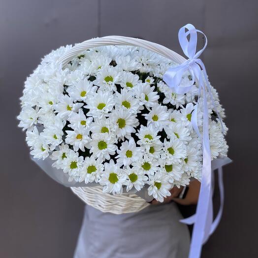 Cesta de 17 crisantemos de manzanilla