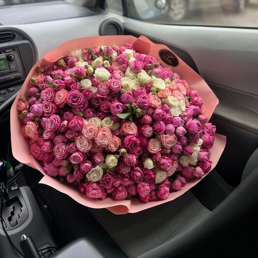 Spray Roses