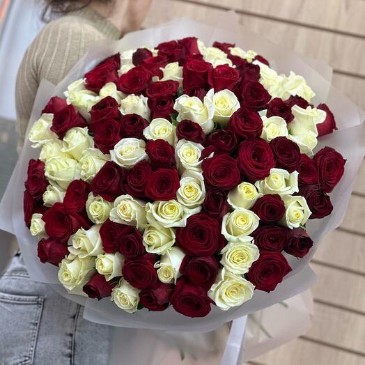 101 РОЗА микс белый с красным