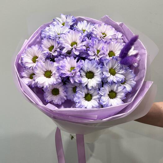 Chrysanthemum bush