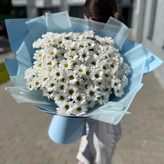 Букет из 15 кустовых хризантем